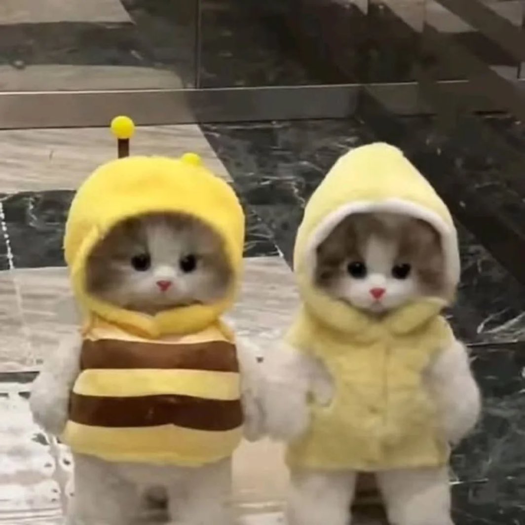 GOD SLAYERS tweet media