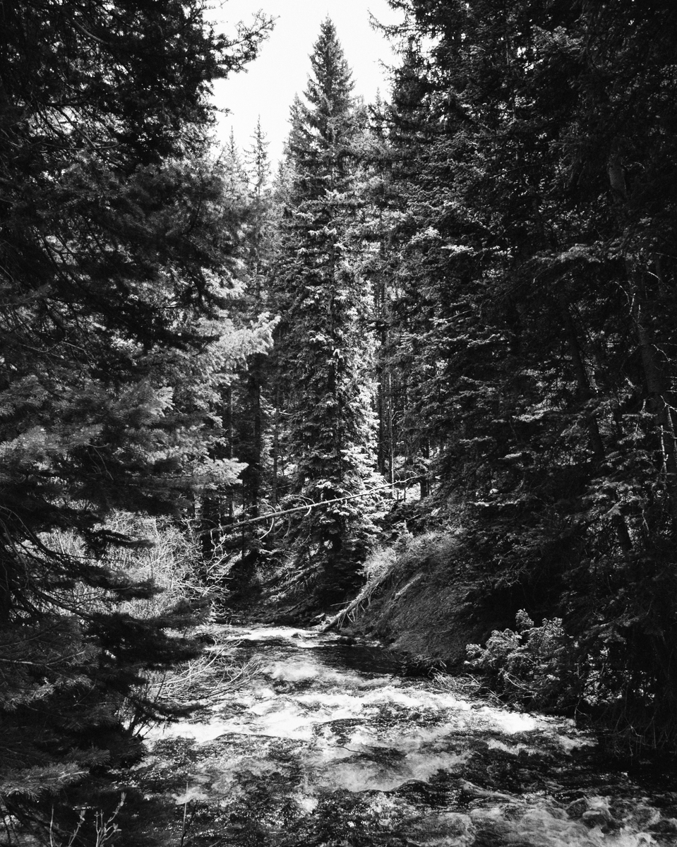 CesarDDV's tweet photo. When places like this feel like a glimpse of heaven, you realize the waiting was never wasted time—it was part of the blessing. #BlackandWhitePhotography

Colorado Series | 2022 https://t.co/VDG3FDvci0