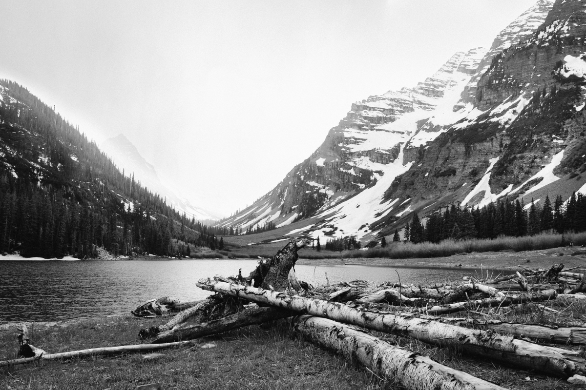CesarDDV's tweet photo. When places like this feel like a glimpse of heaven, you realize the waiting was never wasted time—it was part of the blessing. #BlackandWhitePhotography

Colorado Series | 2022 https://t.co/VDG3FDvci0