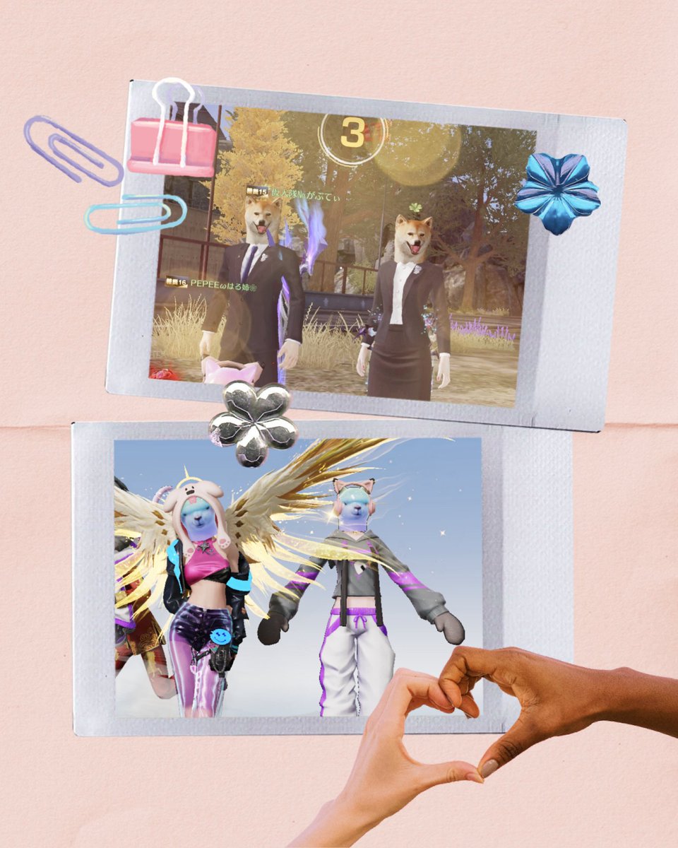 🦍ᩚはる姉ぇ🌸ᩚ tweet media