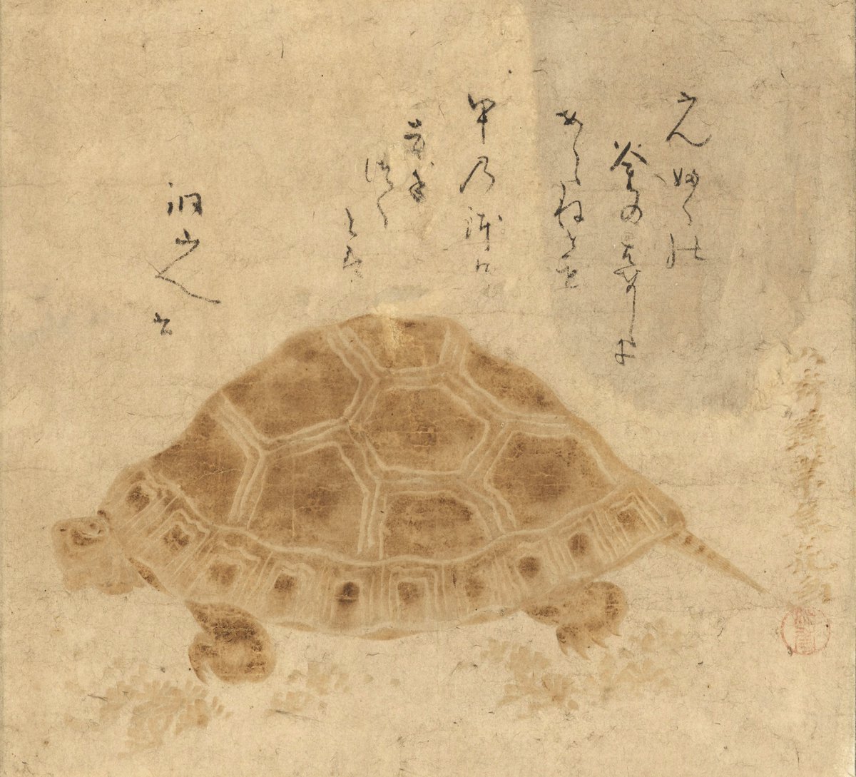 焦がして描いた茶色いカメさん🐢 / 4月12日（日）まで「焼絵 茶色の