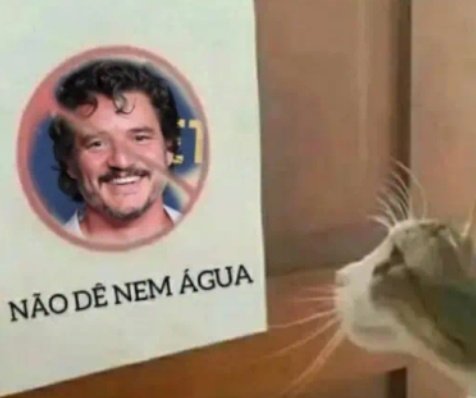 ᴍᴀɴᴜ⁴ ⎊ || 📖: HP⁵ (@starp4dfoot) on Twitter photo 