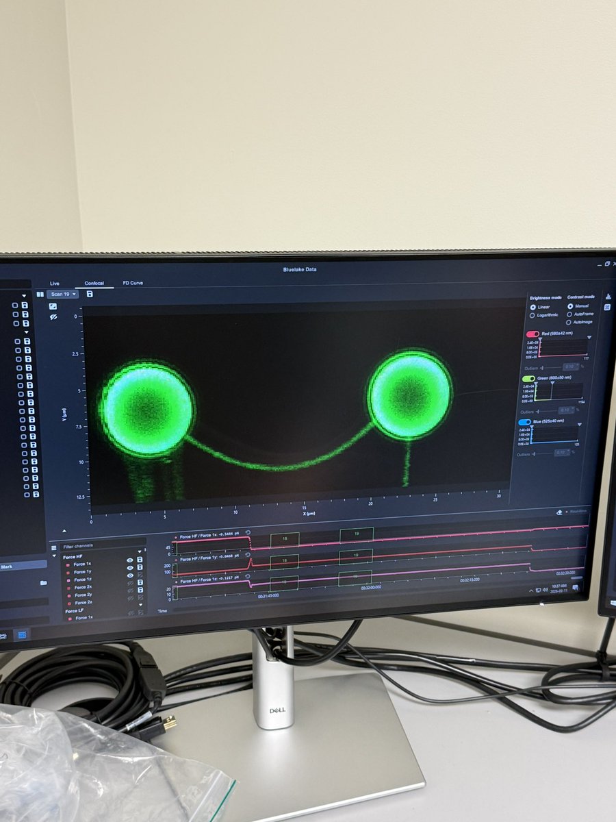 WRgordonlab's tweet photo. Another amazing day of @LUMICKS_nl training! Smiley dna, watching a molecule fold and unfold in real time, and even moving some cells around with light. #mechanobiology @umncbs @umnmedschool https://t.co/Xuo6ns8qwk