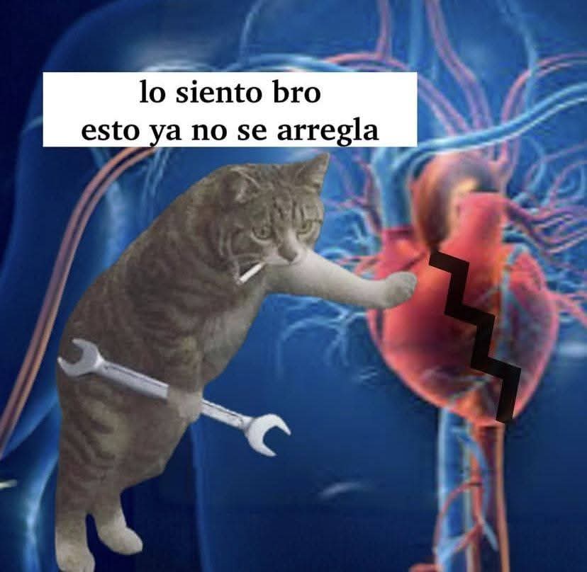Animalitos en aprietos. tweet media