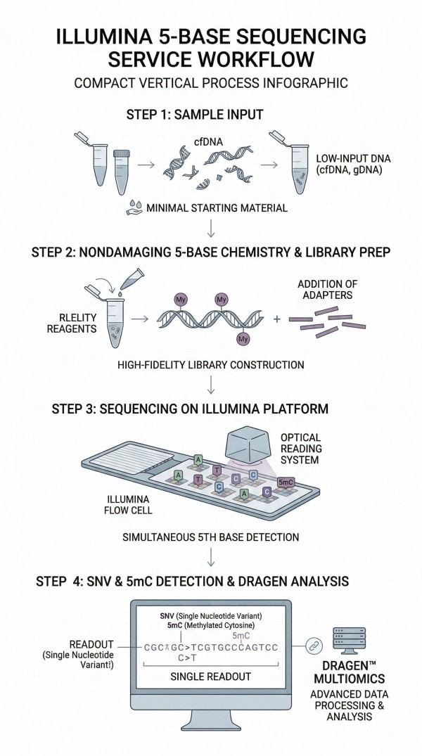 CD Genomics tweet media