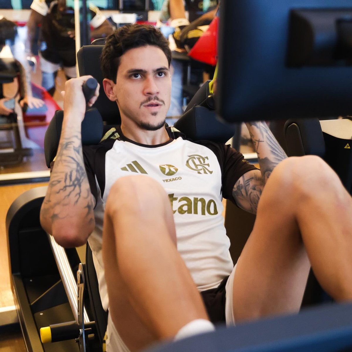 gostosos no futebol tweet media