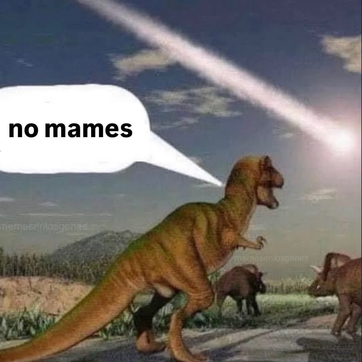 Animalitos en aprietos. tweet media