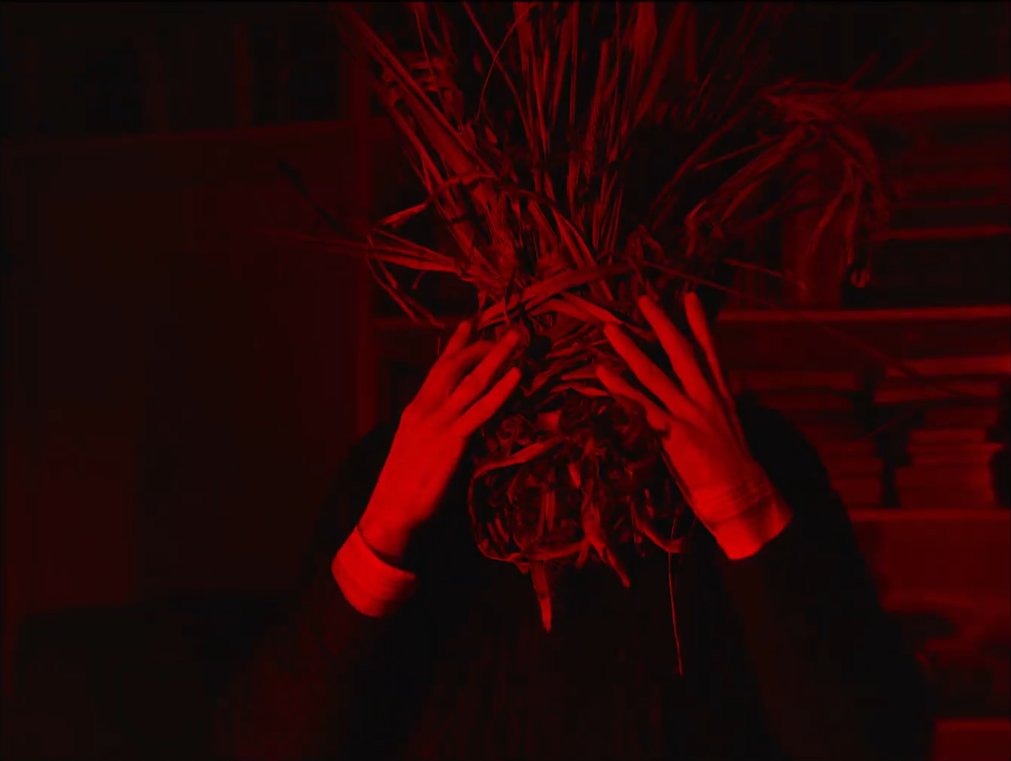 El videoclub argento tweet media