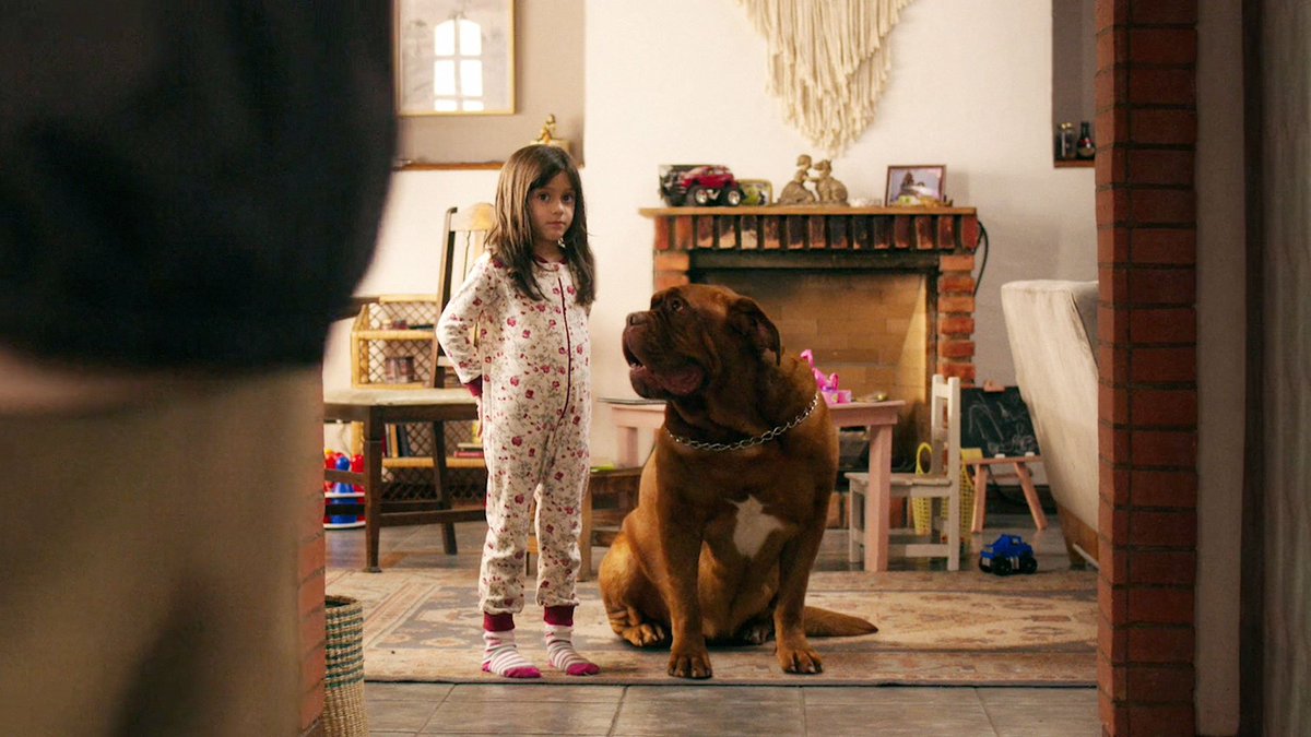 El videoclub argento tweet media