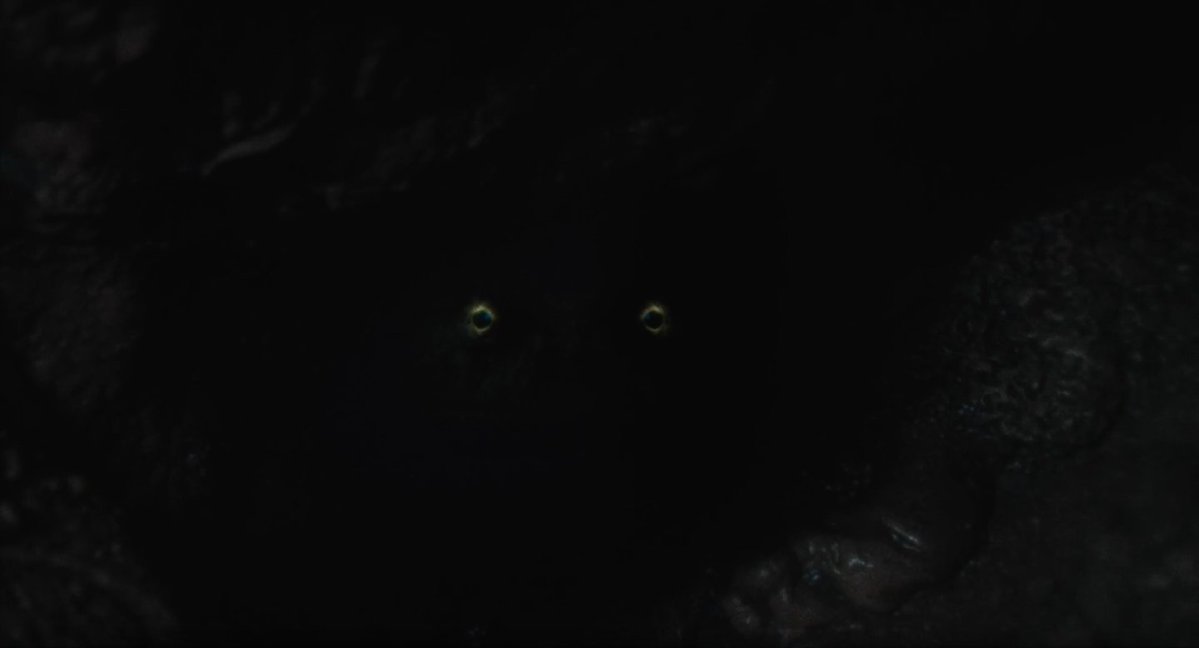 El videoclub argento tweet media