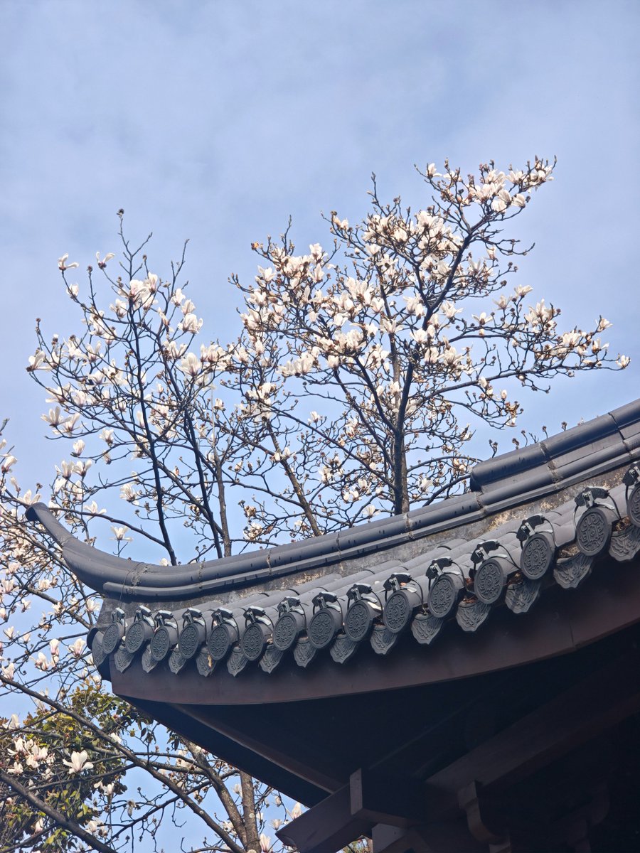 DAddY0898's tweet photo. 海南的搭子有吗 #海口 #三亚嘉兴 #东方 https://t.co/lL2KAgOZVR