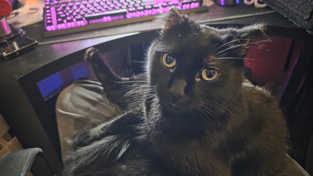 Captain Showtime 🔜 TFF / LVFC /FWA tweet media