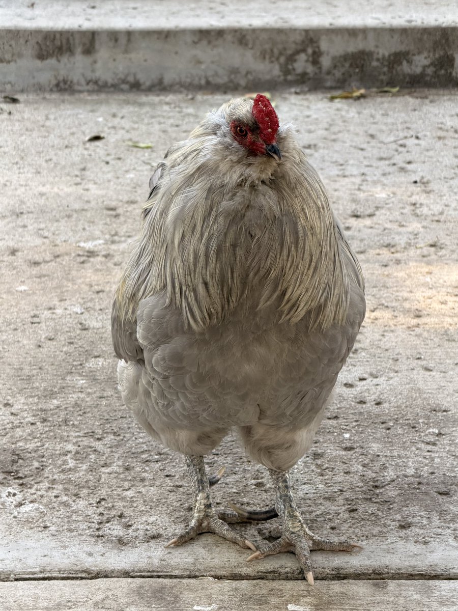 WhiskeyHacker tweet media