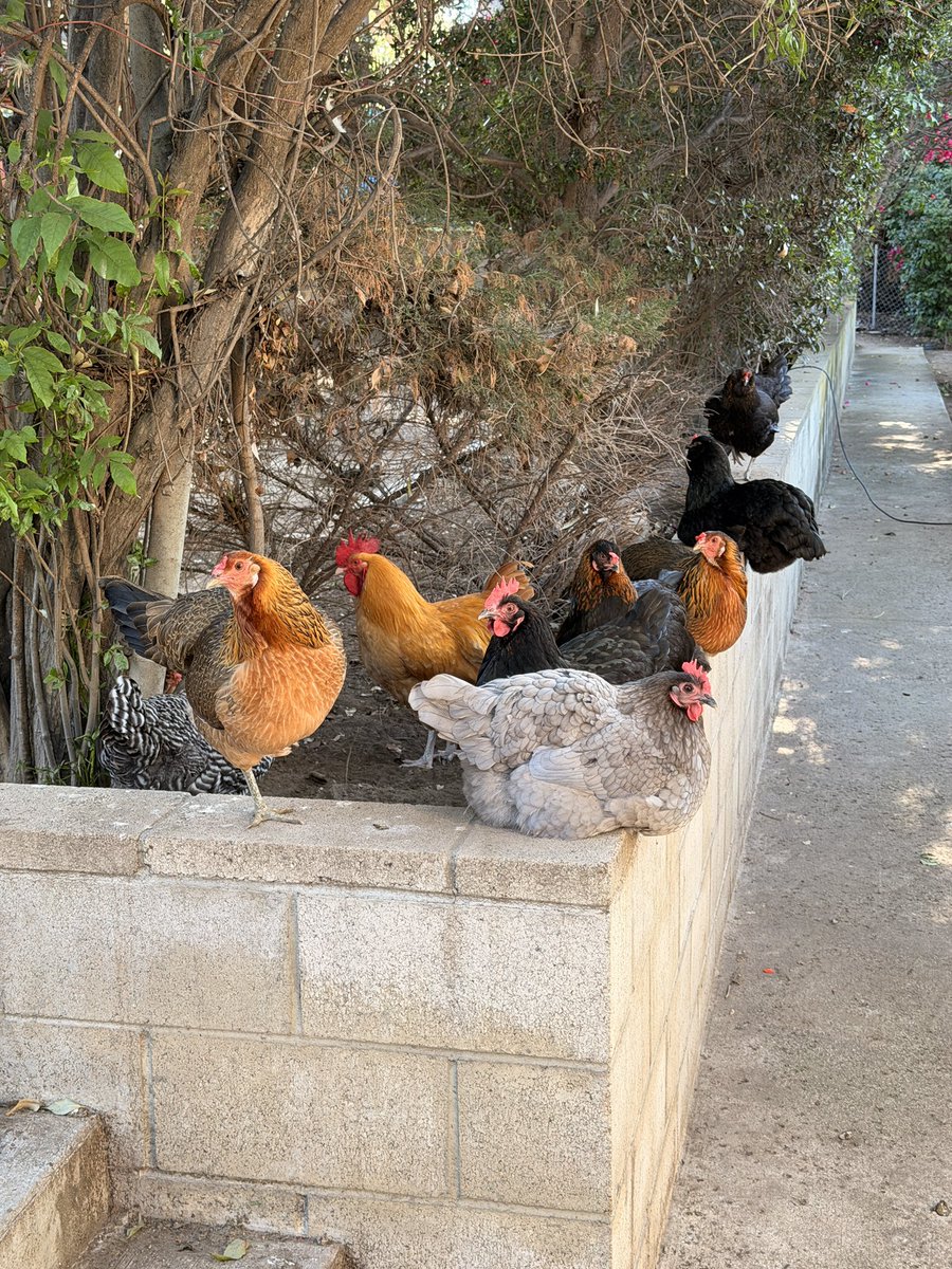 WhiskeyHacker tweet media