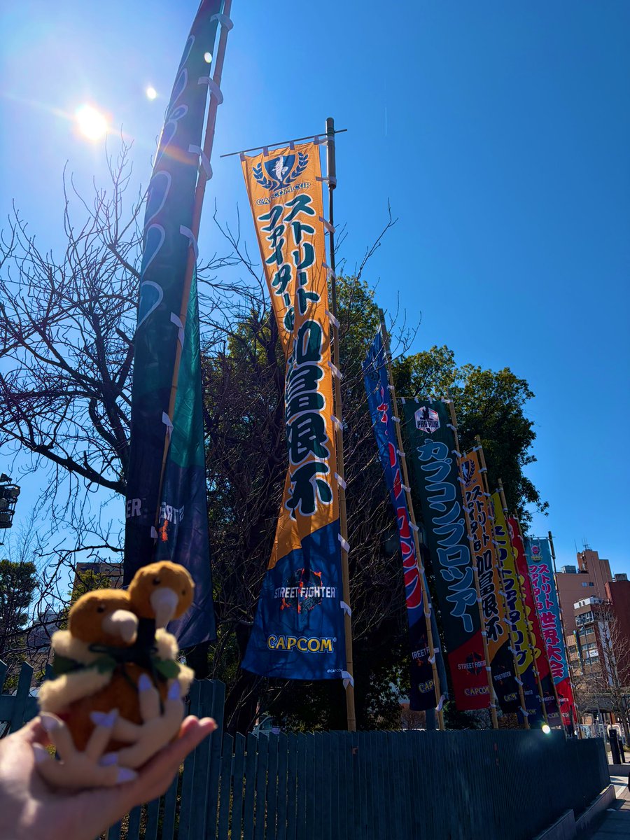 ひきこもドードー tweet media