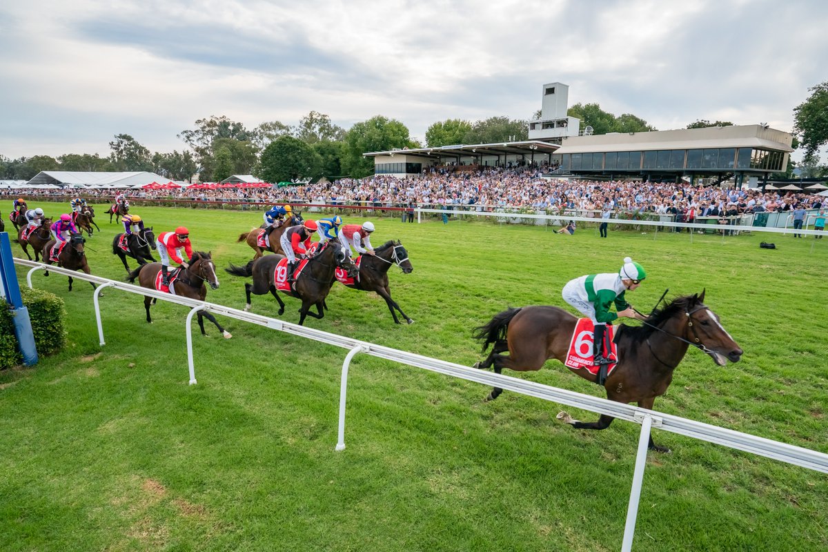 Albury Racing Club tweet media