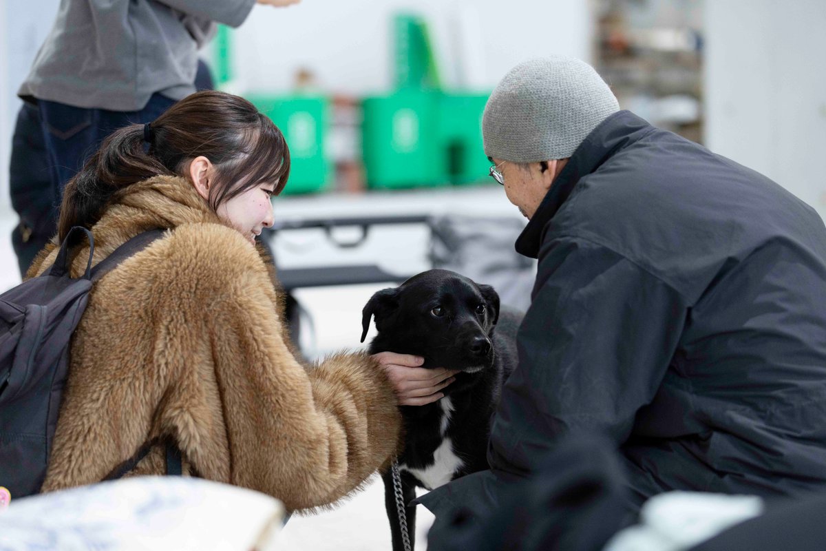 ほとんど0円大学 tweet media