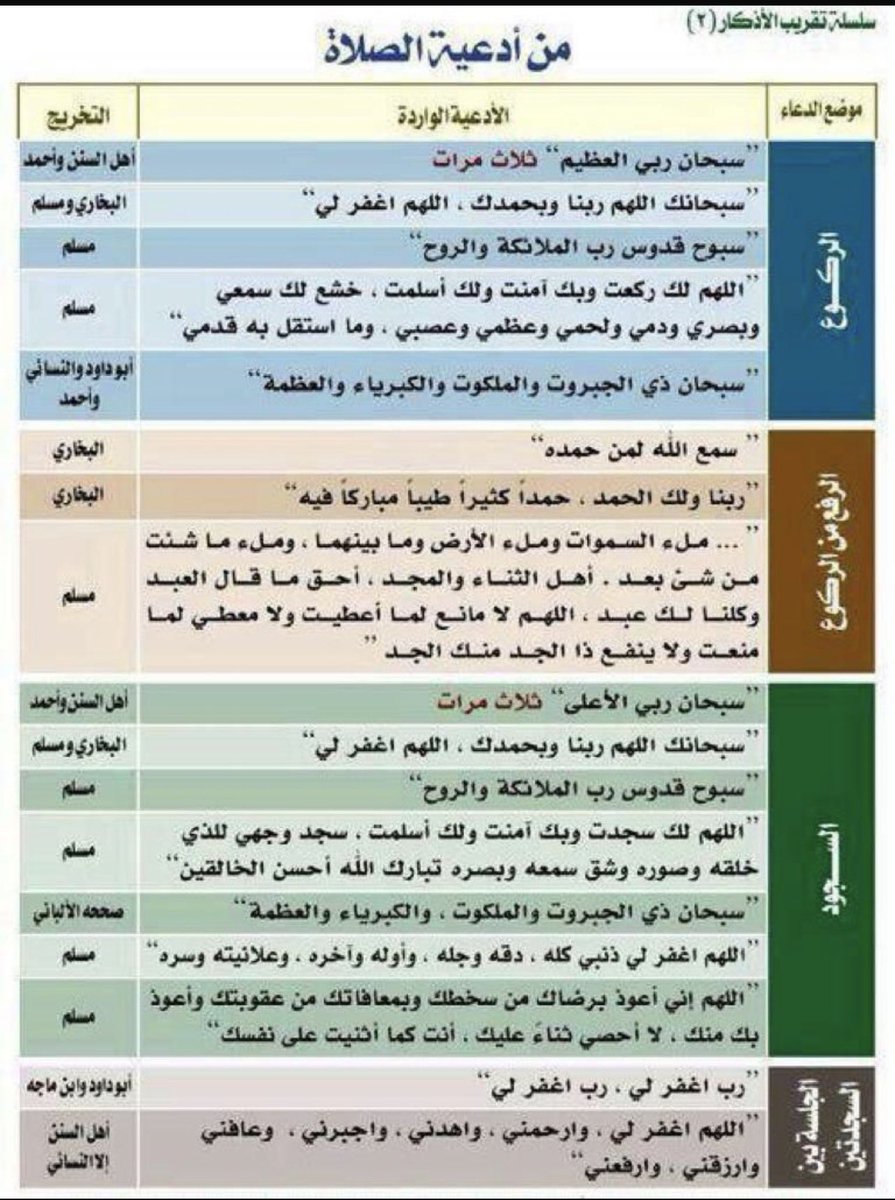 majed shati tweet media