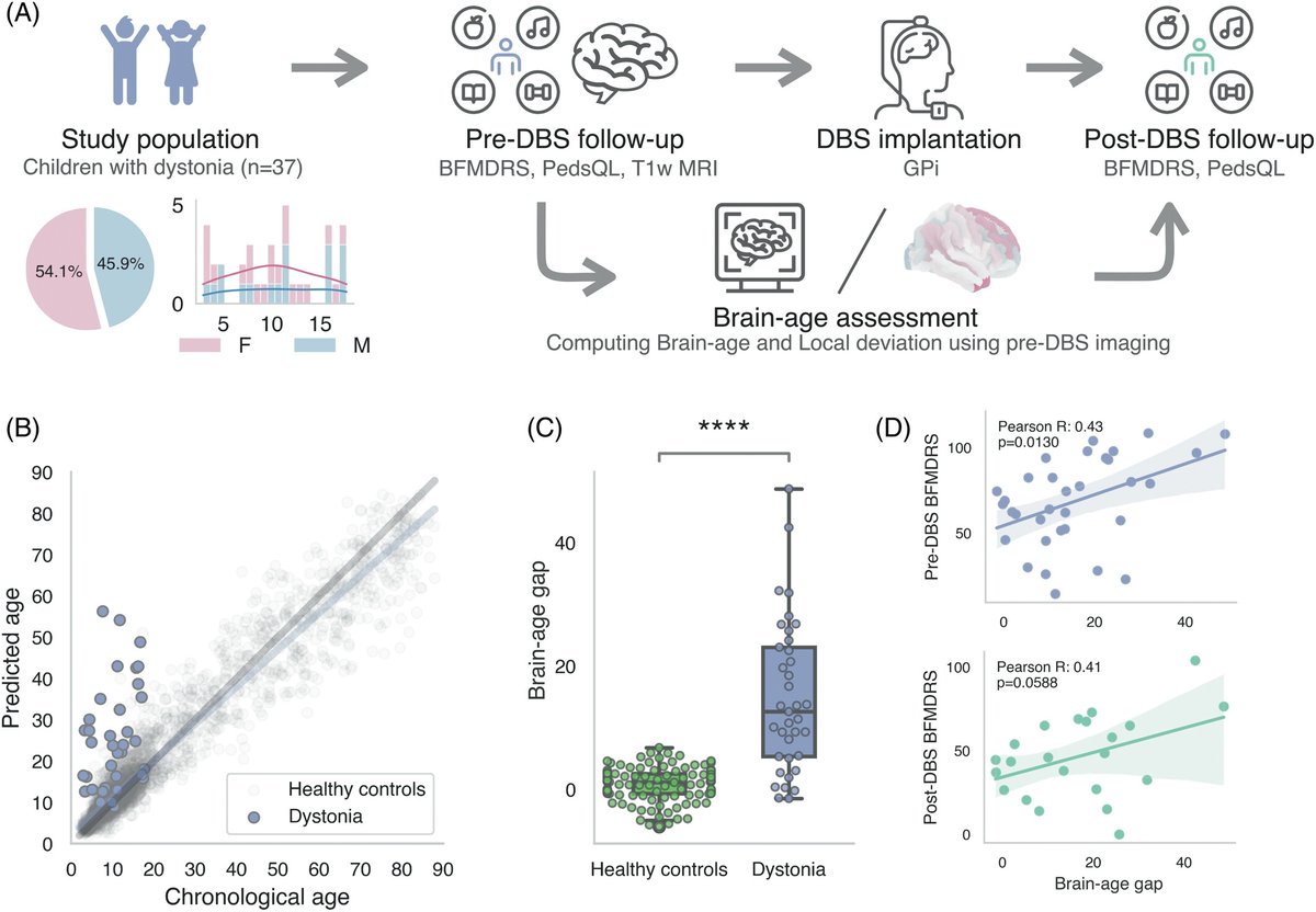 DBS Think Tank tweet media