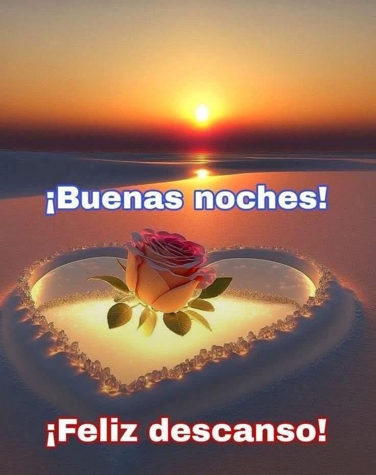 vargas_yim's tweet photo. @Blanquita3009 feliz noche 🌛 ✨ 🌷 🌹 💙 https://t.co/tb2Dlgc8h2