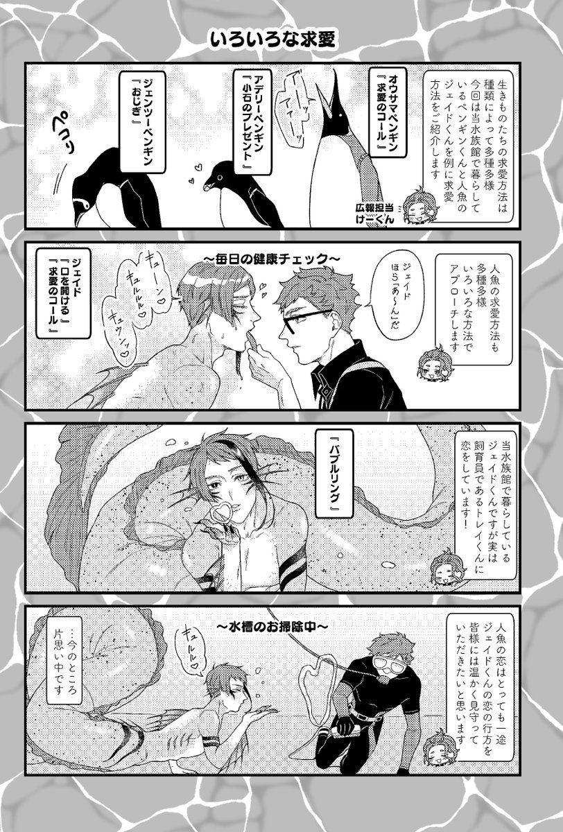 huzise_8's tweet photo. ※トレジェイ・再掲
肉感が大好きなのは、人魚にも適用されているよ🐟 https://t.co/PZ8GPa7IkT