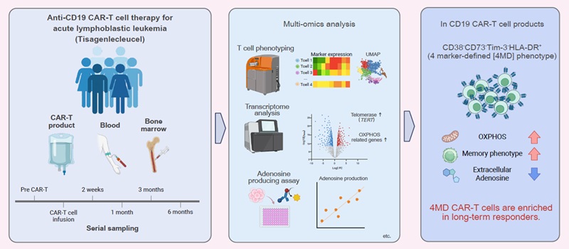Science Japan tweet media