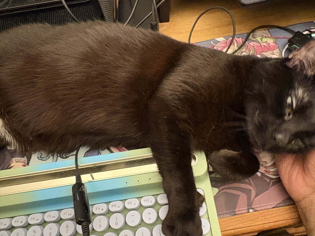 Assistant to the editor Luna is saying "break time, human!"