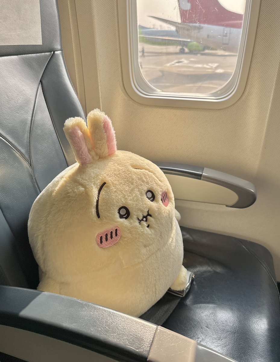 ✈️🐽🐰💺
안전벨트 해주세요