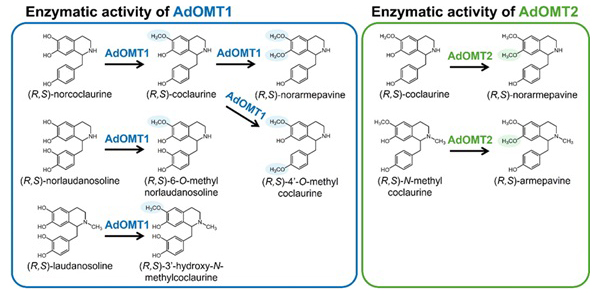 Science Japan tweet media