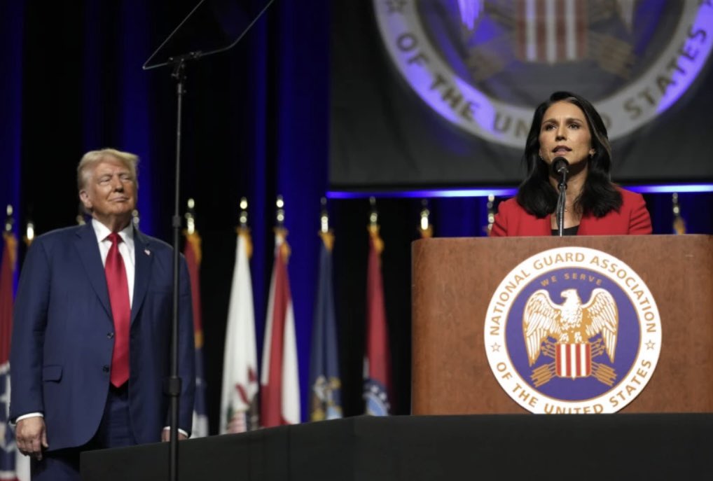 Joshua Hall tweet media