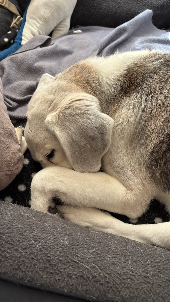 Valentina tweet media