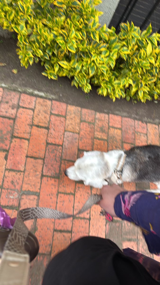 Valentina tweet media