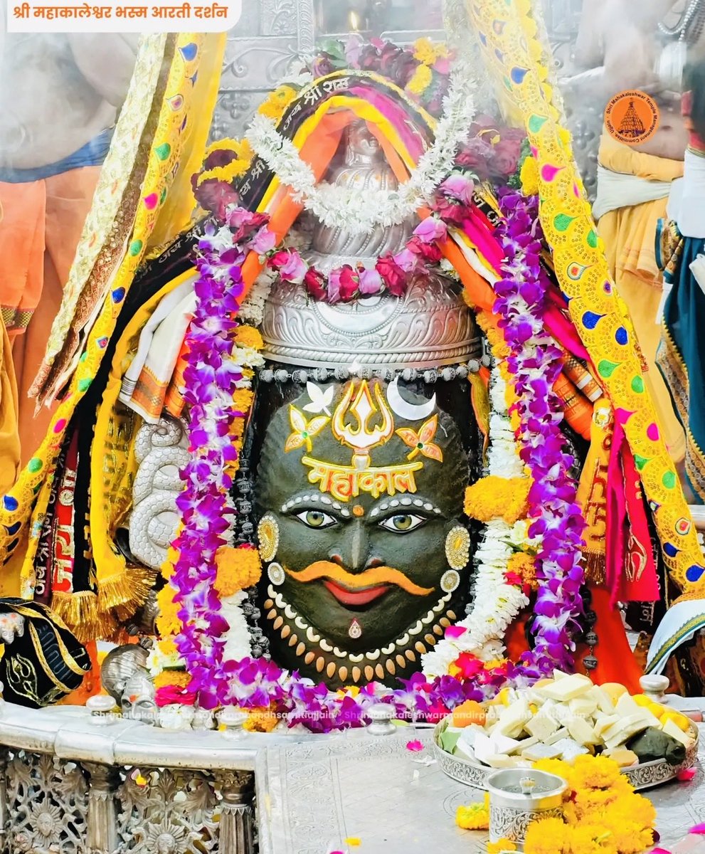 Jai Shri Mahakal 🕉️ tweet media
