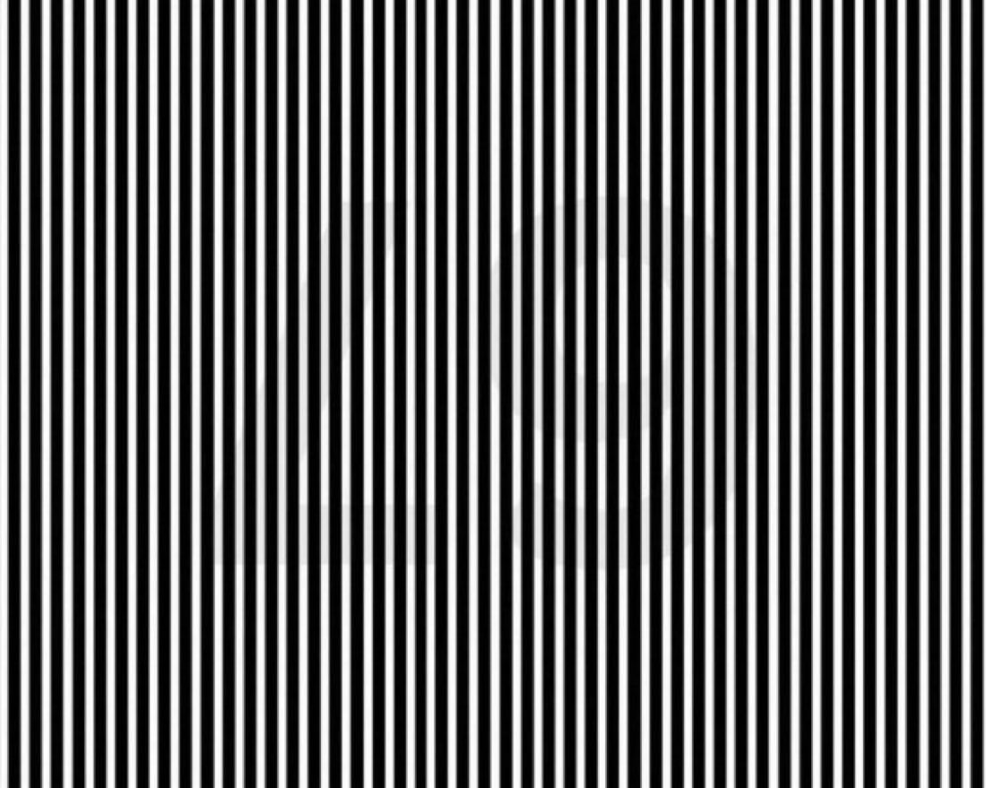 Johnny Midnight ⚡️ tweet media