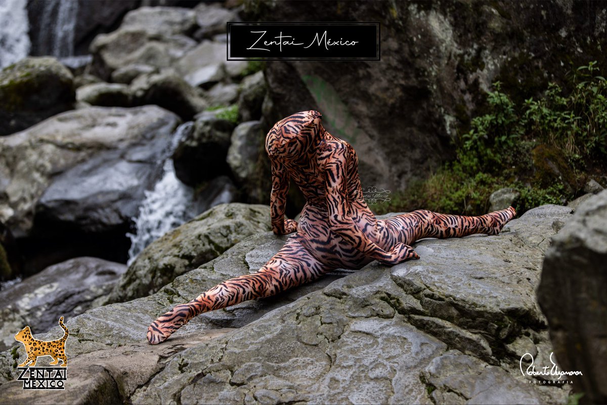 Zentai Mexico tweet media