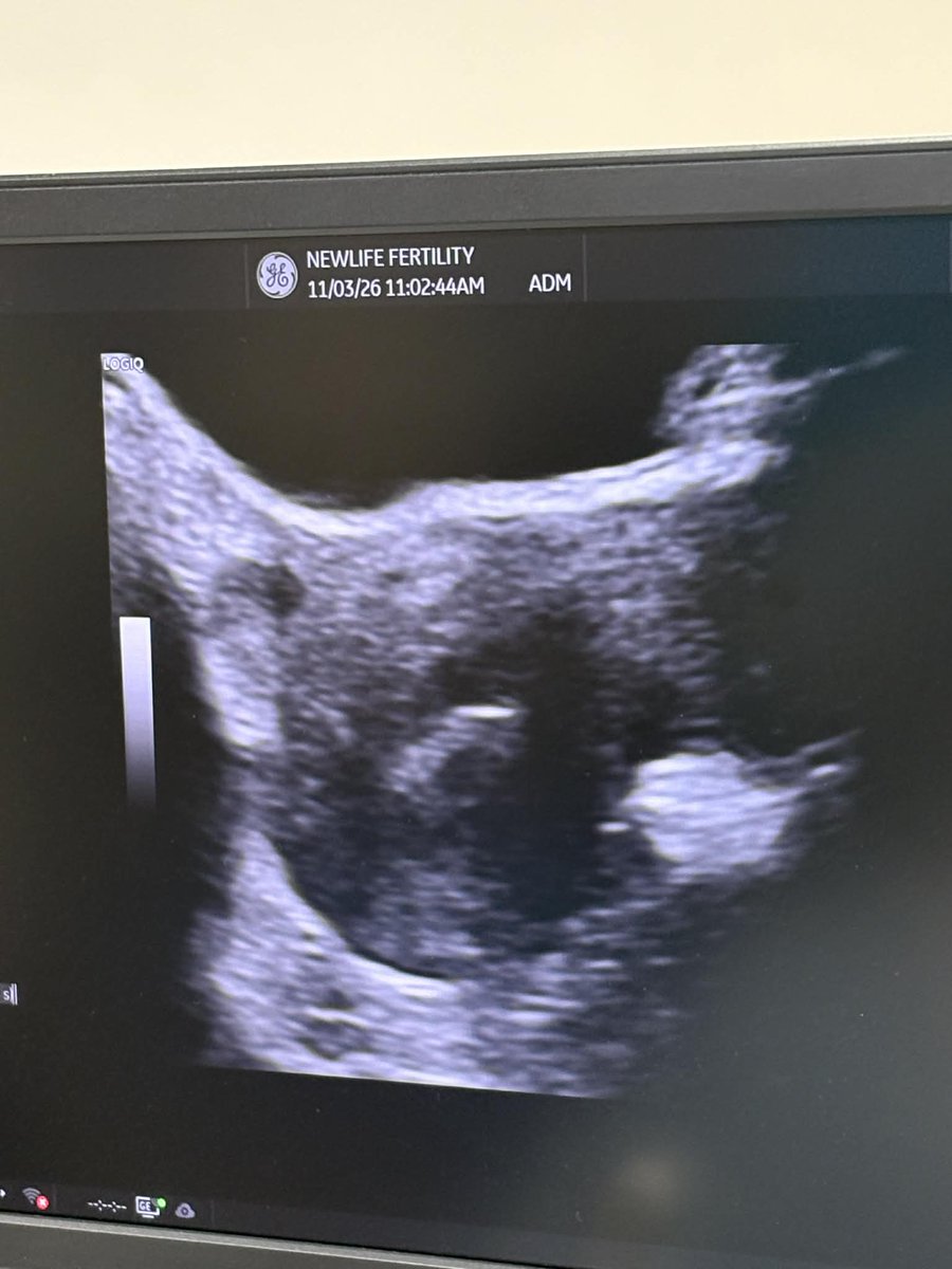 Surrogacy in Canada Online tweet media