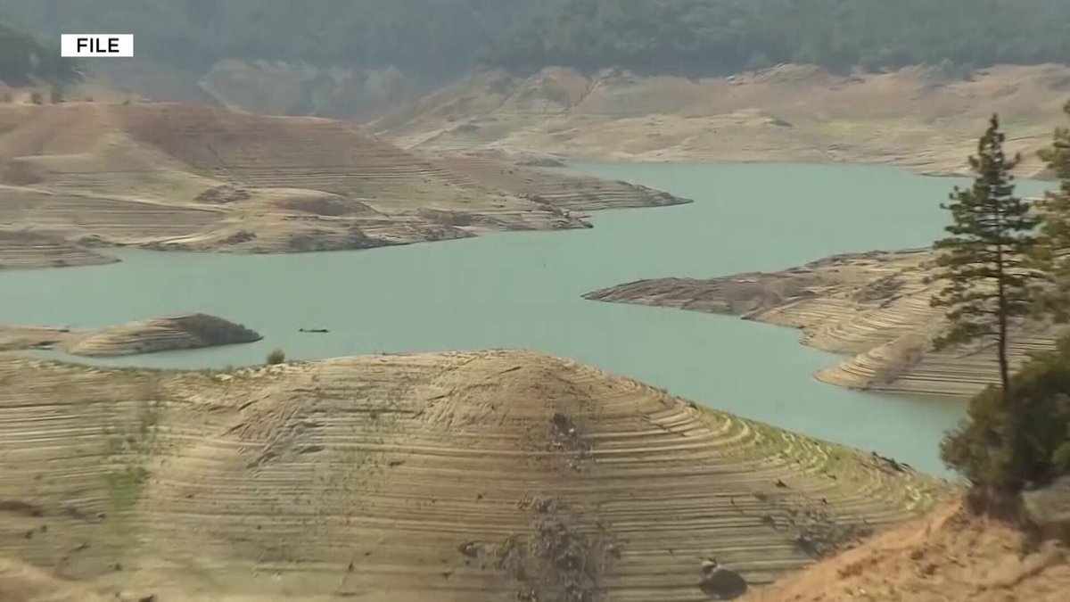 David Baker tweet media