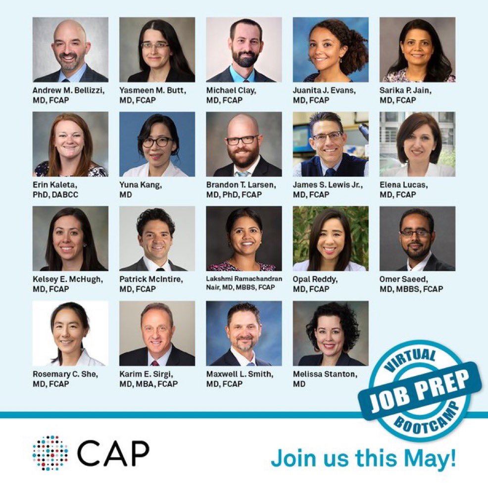 Katrina Collins, MD || Pathologist tweet media