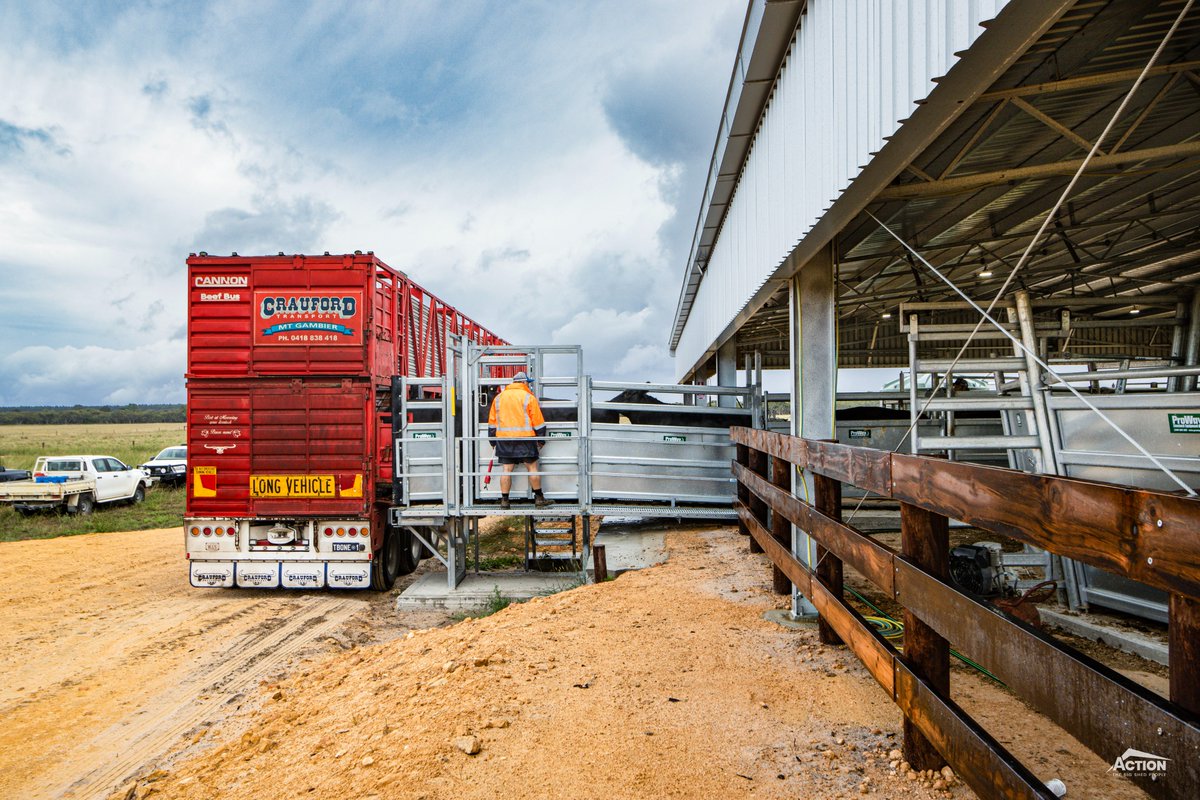 Action Steel tweet media