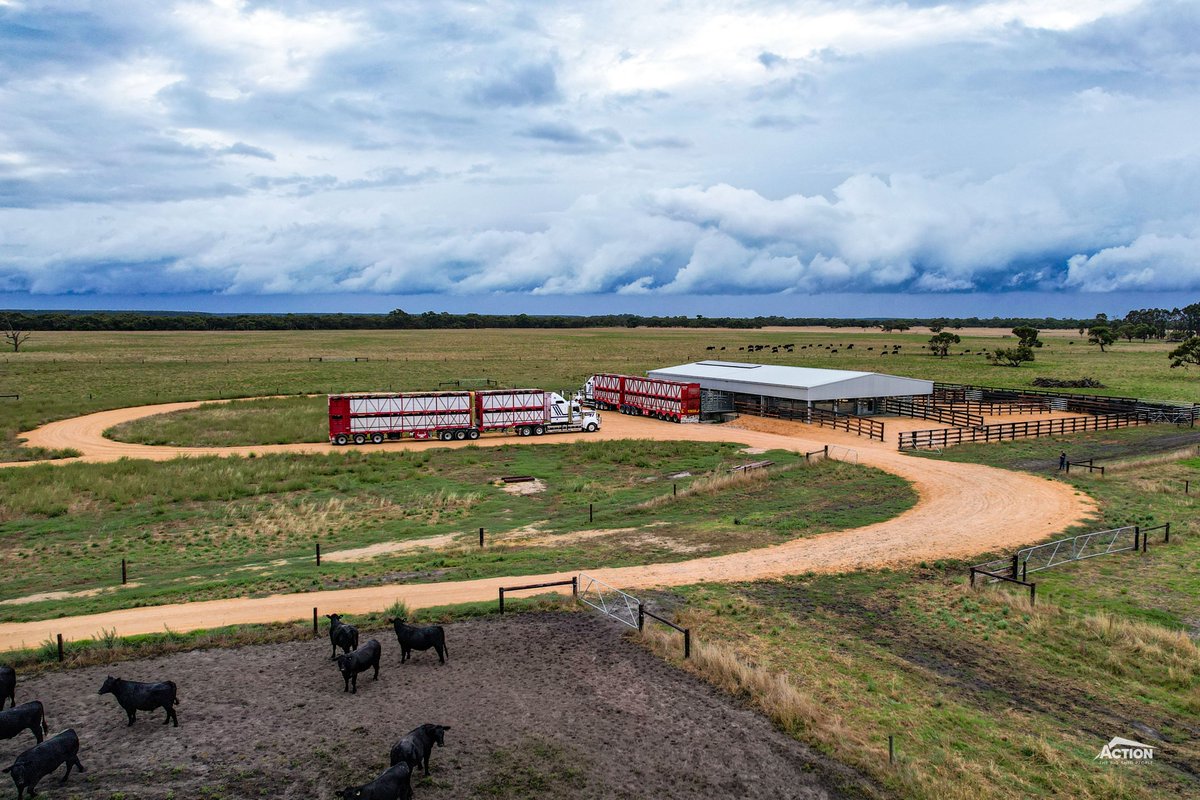 Action Steel tweet media