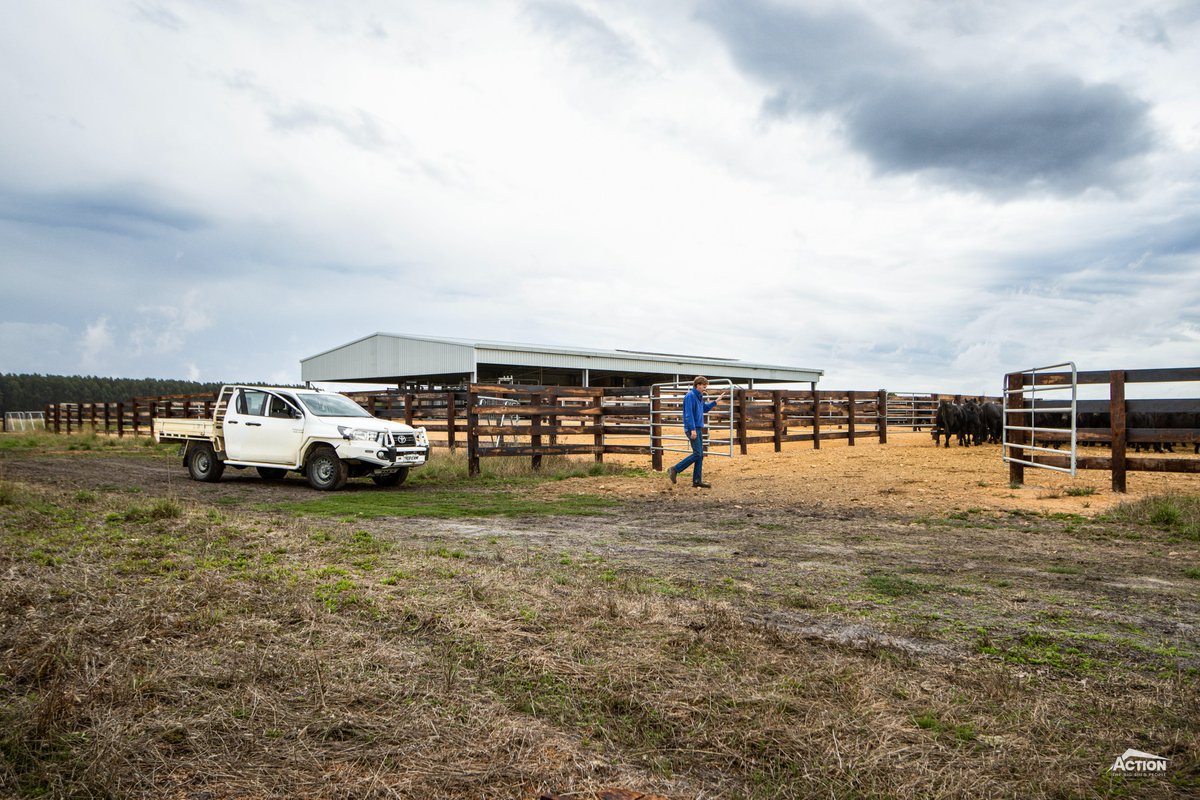 Action Steel tweet media