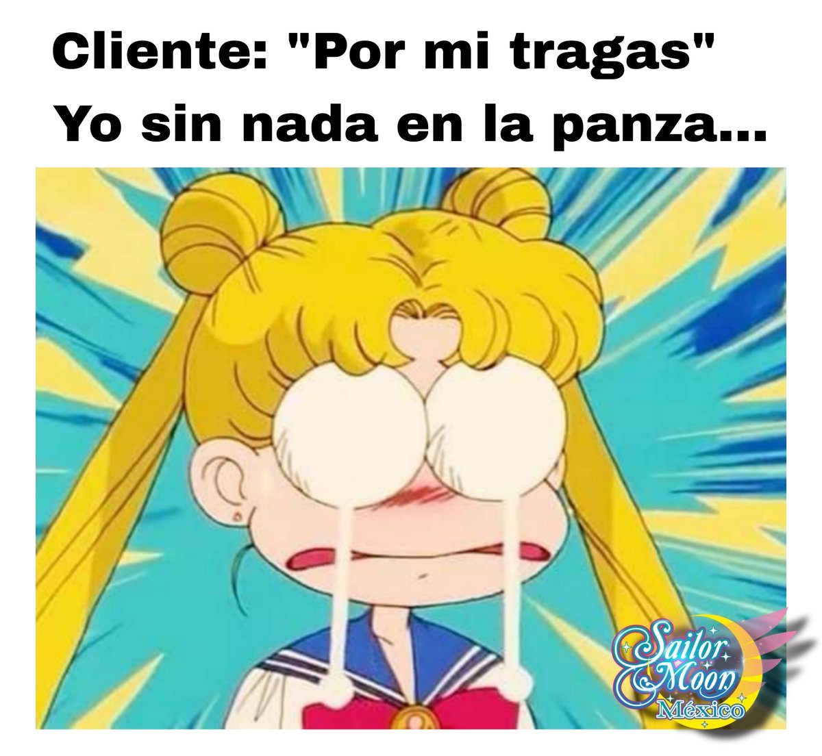 Sailor Moon Mexico tweet media