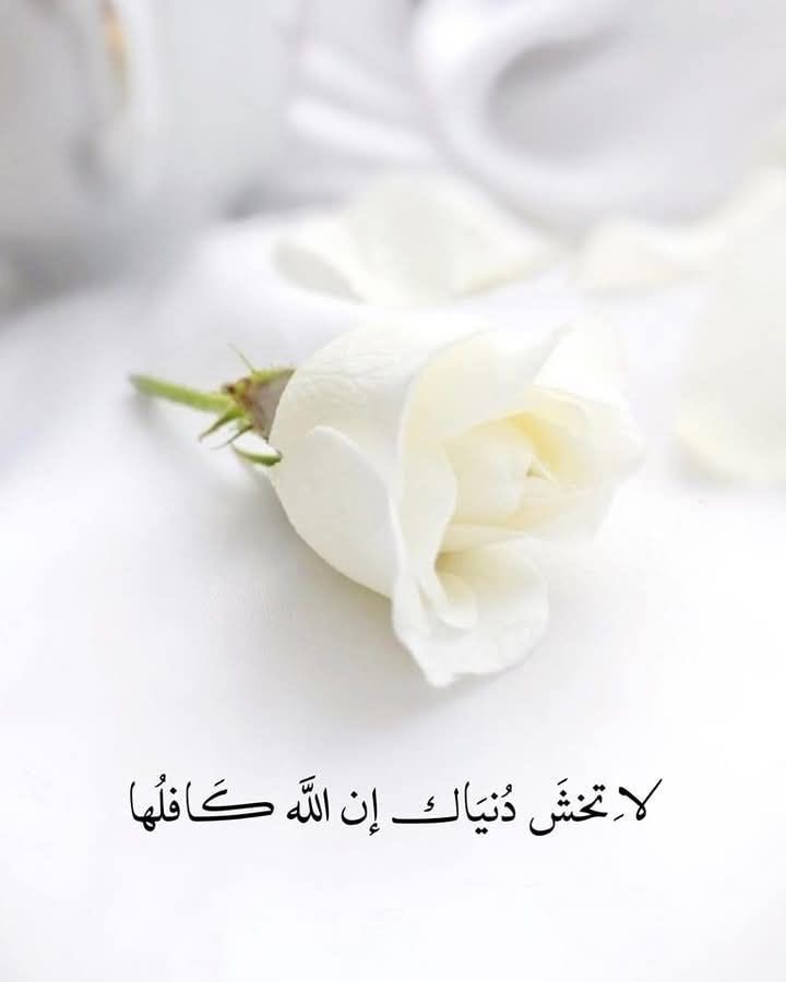روح التفاؤل 💕 (@roohaltaf) on Twitter photo 