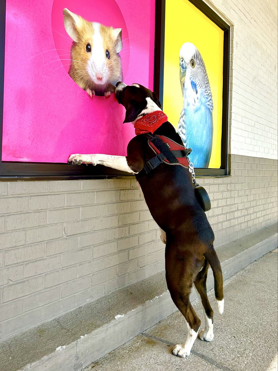 HamiltonStephe's tweet photo. This why I don’t take him to art exhibitions. https://t.co/kHbT2PwQNx