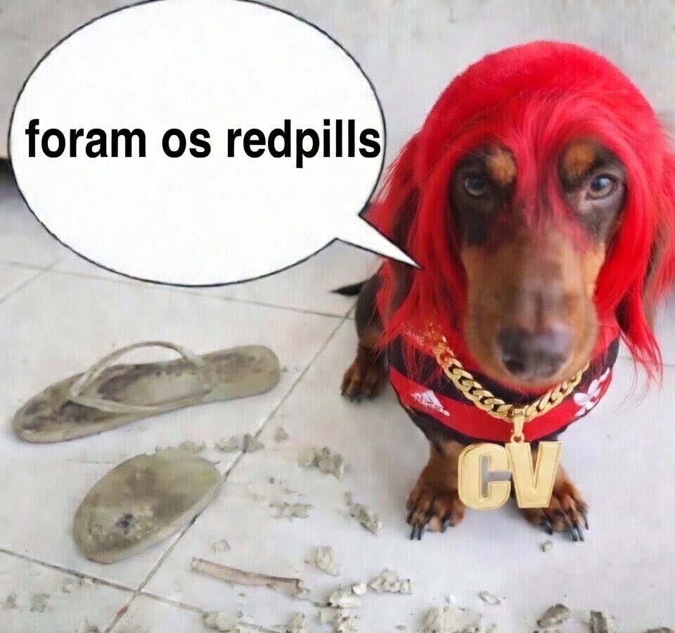 VSFerraz tweet media