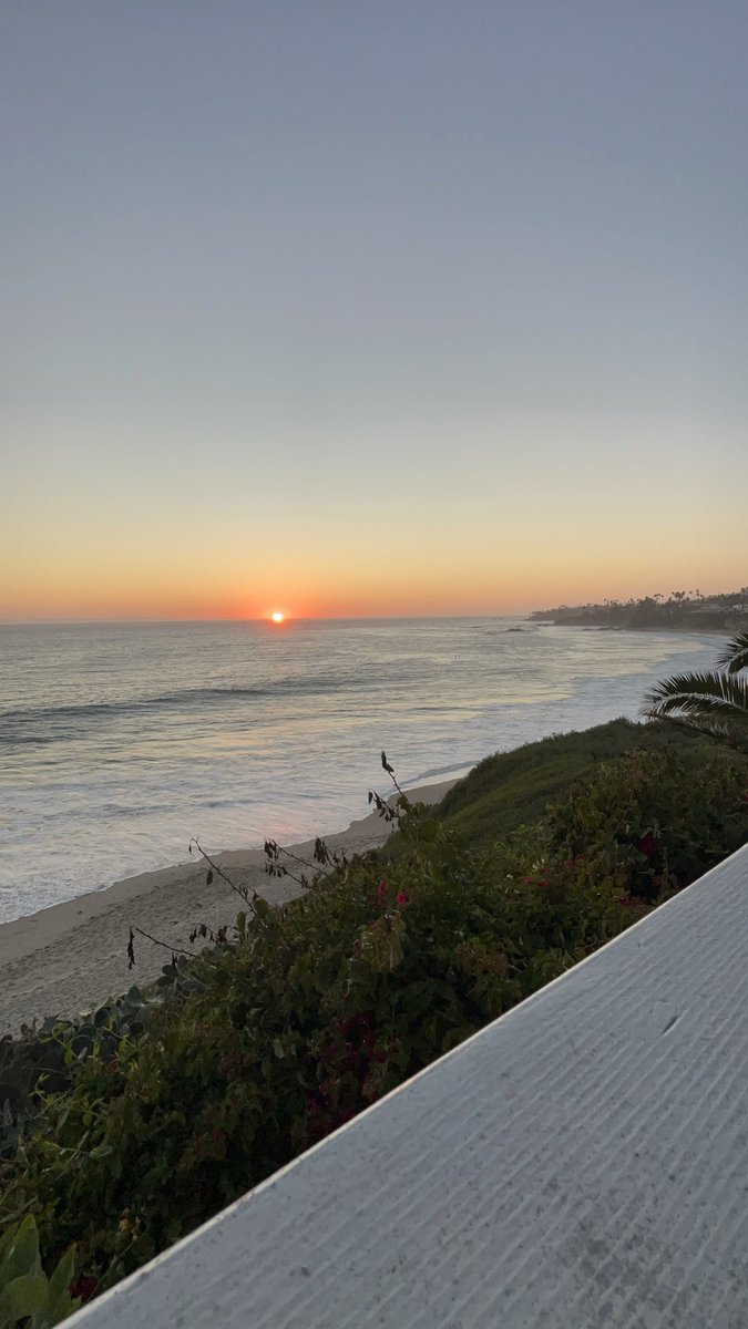 Zekiye Aydemir tweet media