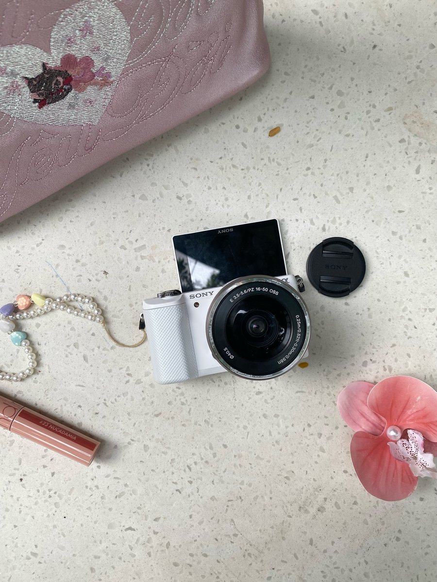 Zach evans tweet media