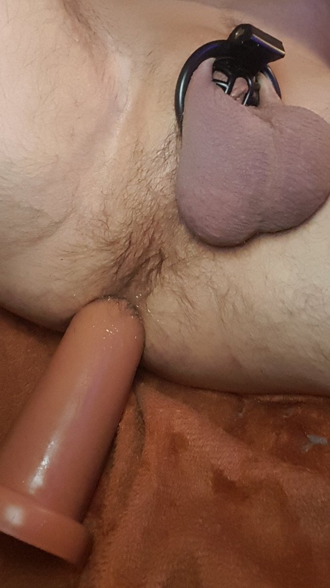 AnthonnyRD.🇫🇷 Pup-Strayd Kïnko- tweet media