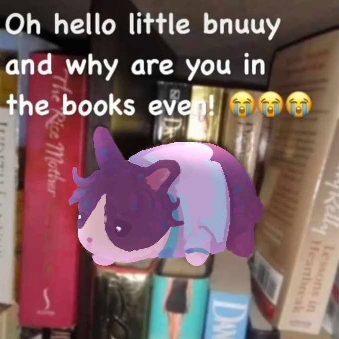 evan 🎣 shop open! tweet media