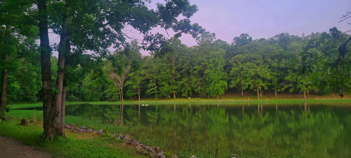 Legit Liquid 🌊🇺🇦 tweet media